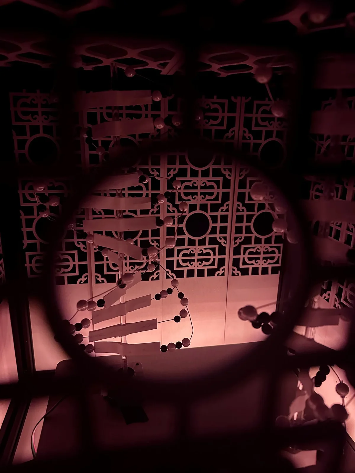 Fuxi, Nuwa, DNA, and the Yin-Yang Cosmos — project documentation, view 11