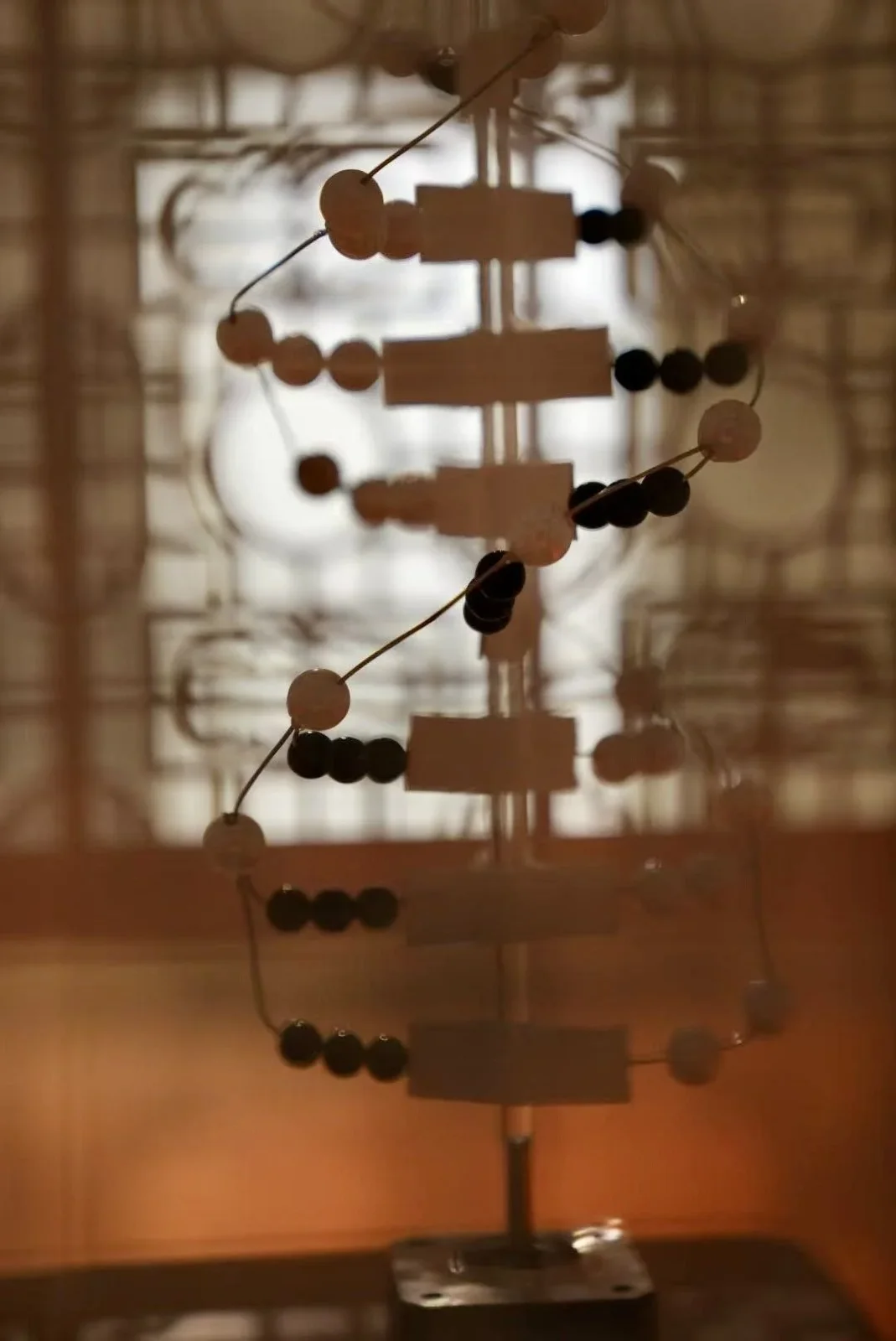 Fuxi, Nuwa, DNA, and the Yin-Yang Cosmos — project documentation, view 1