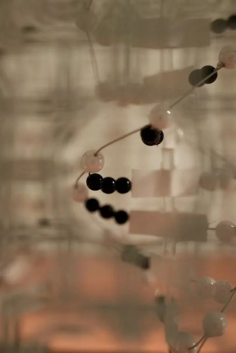 Fuxi, Nuwa, DNA, and the Yin-Yang Cosmos — project documentation, view 3