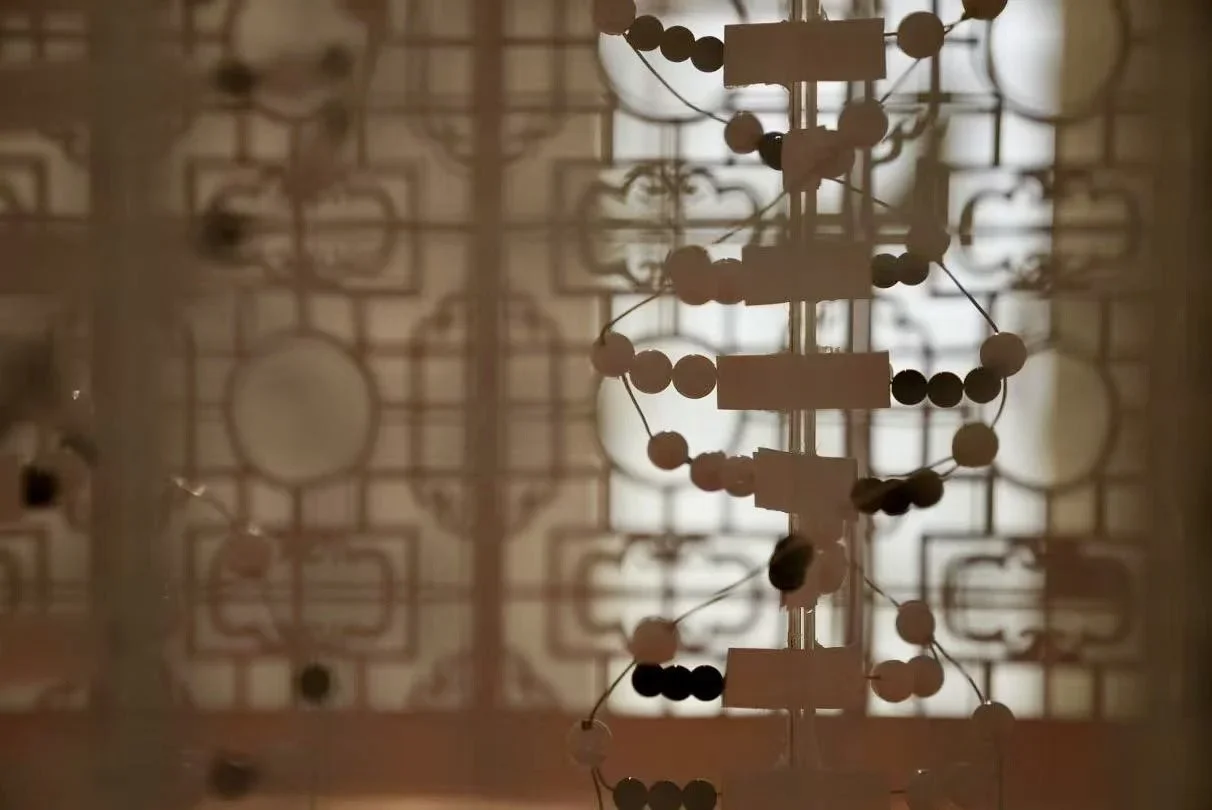 Fuxi, Nuwa, DNA, and the Yin-Yang Cosmos — project documentation, view 5