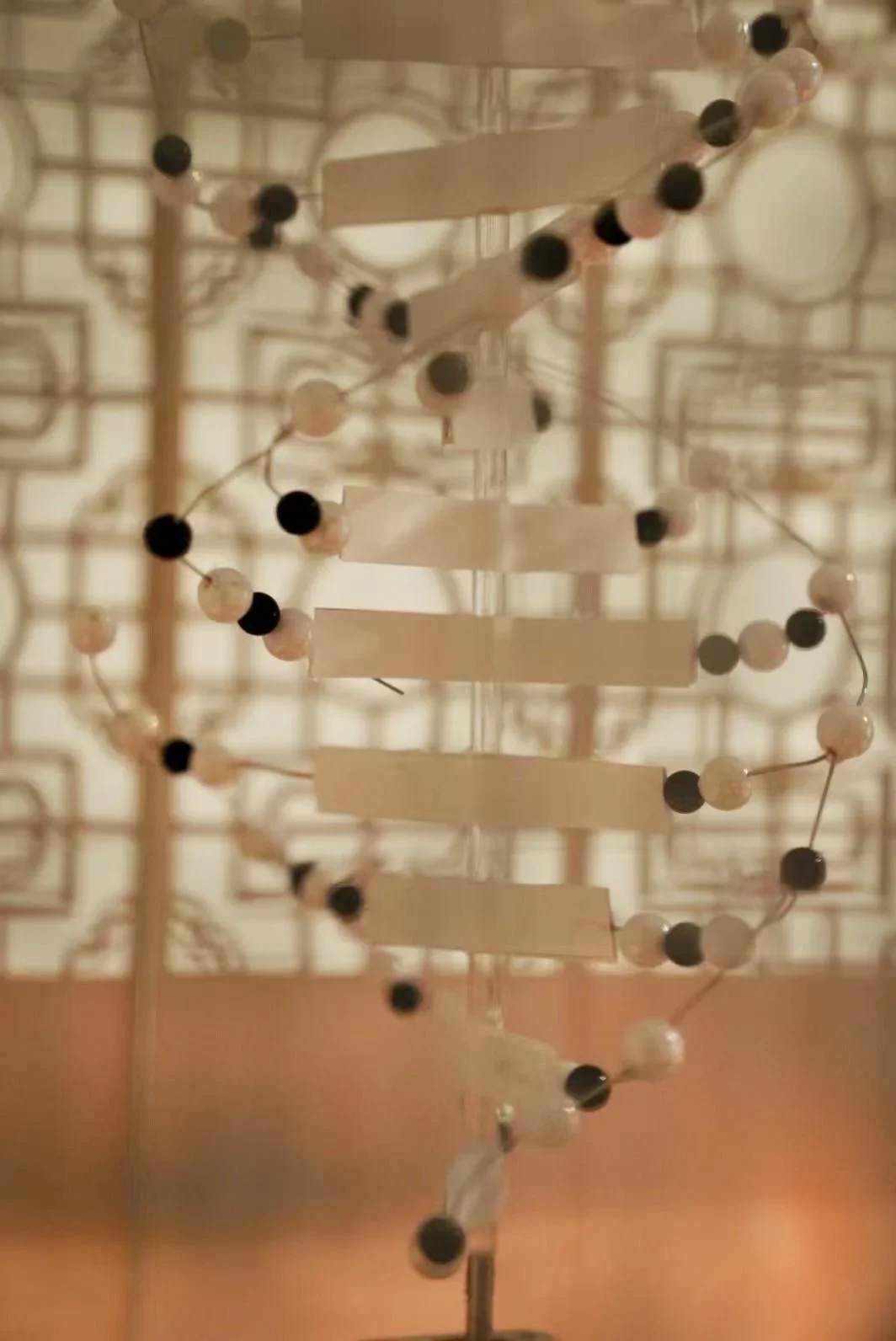 Fuxi, Nuwa, DNA, and the Yin-Yang Cosmos — project documentation, view 6